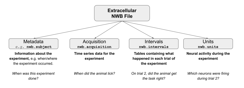 NWB_file_structure.png